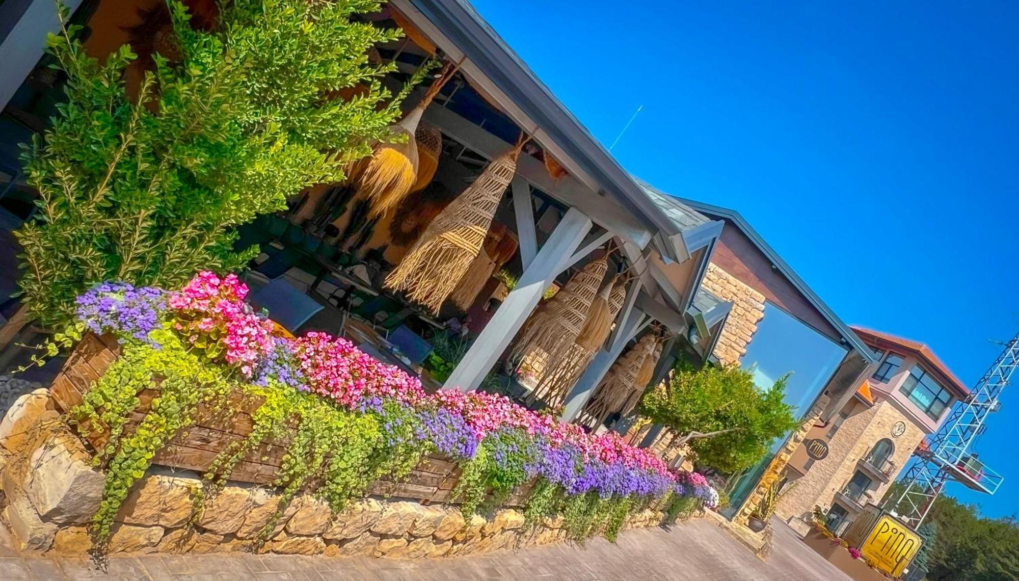 Pino - Villa, Casa, Cucina Е Terrazza Албена Екстериор снимка